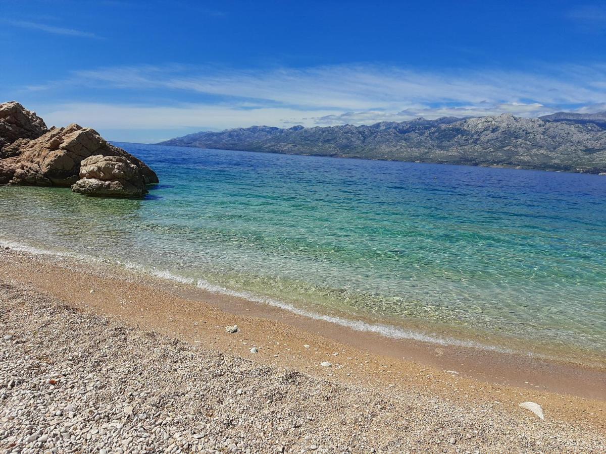 Nino * Zadar