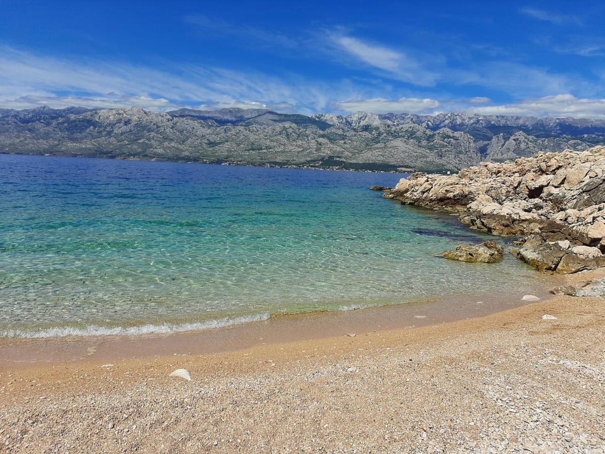 Nino Zadar